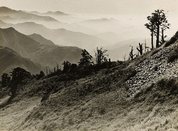 藏品:高山古情-高山清境的(1)張圖片