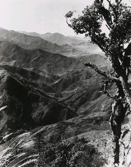 藏品:高山古情-陵線錯蹤的群山皆禿山的(1)張圖片