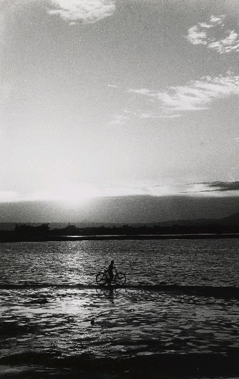 藏品:淡河漣漪-河上新洲的(1)張圖片