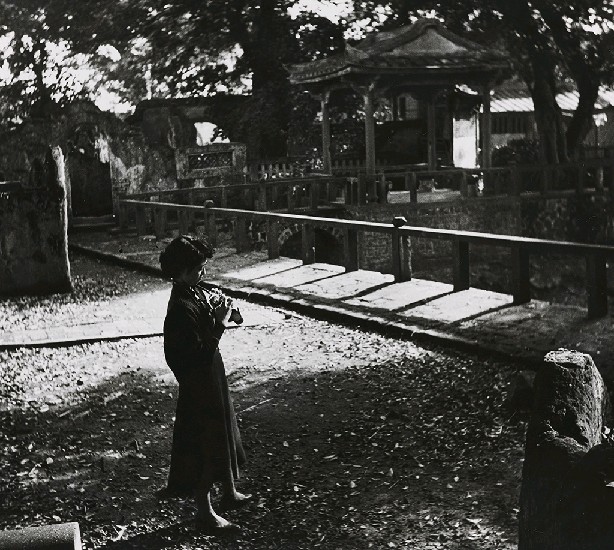 藏品:淡河漣漪-林家花園的(1)張圖片