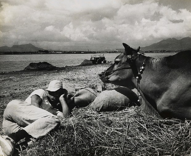 藏品:淡河漣漪-午寐（第二水門外）的(1)張圖片