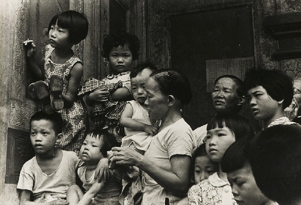 藏品:龍山寺的(1)張圖片