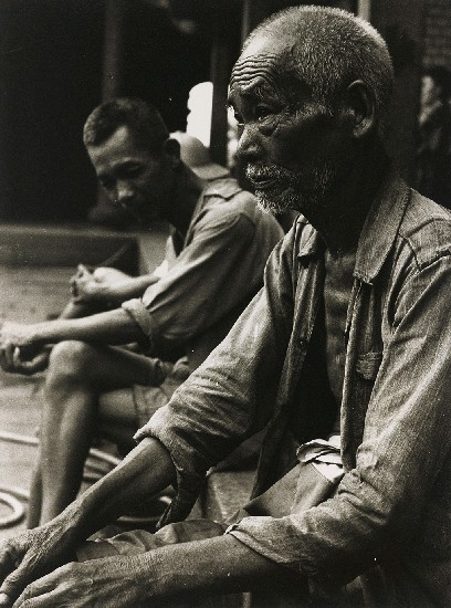 藏品:龍山寺的(1)張圖片