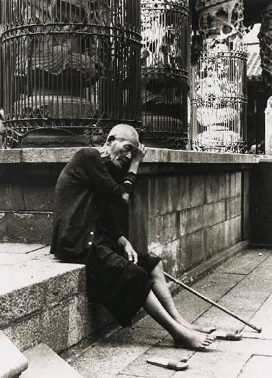 藏品:龍山寺的(1)張圖片