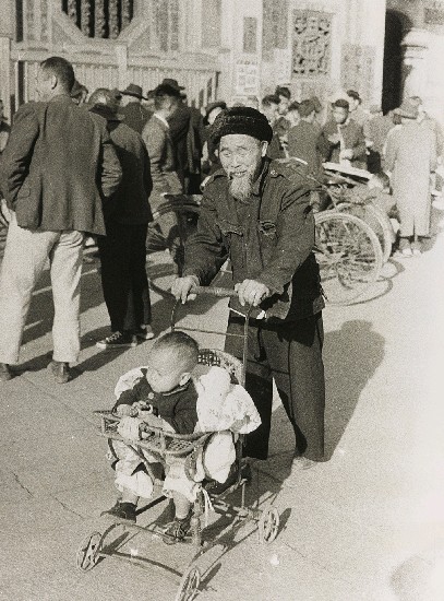 藏品:龍山寺的(1)張圖片