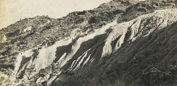 藏品:不詳的(1)張圖片