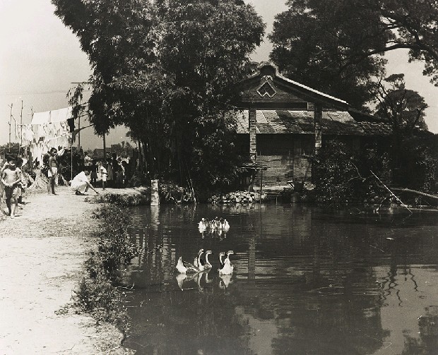 藏品:不詳的(1)張圖片