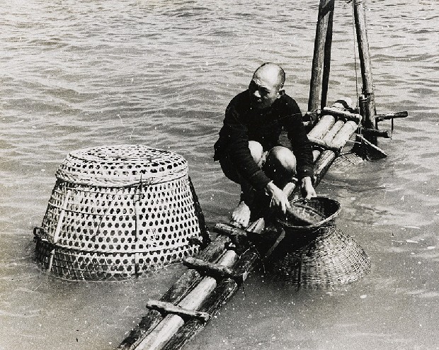 藏品:不詳的(1)張圖片