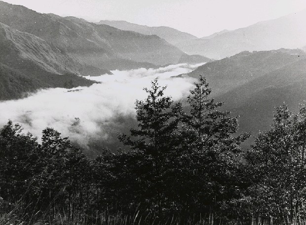 藏品:不詳的(1)張圖片