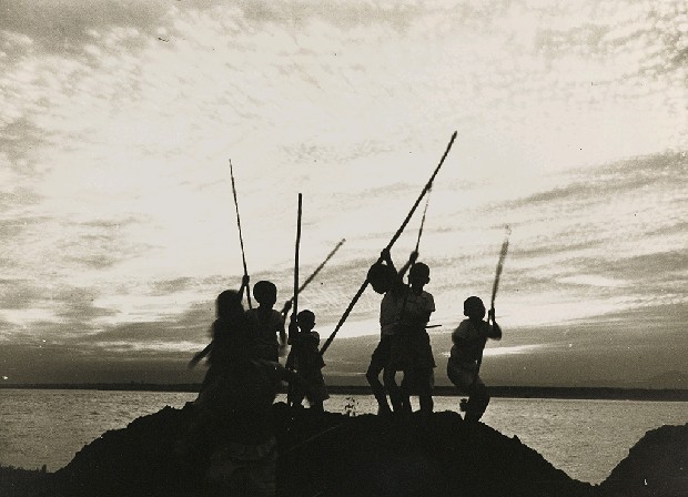 藏品:不詳的(1)張圖片