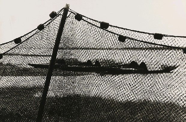 藏品:不詳的(1)張圖片