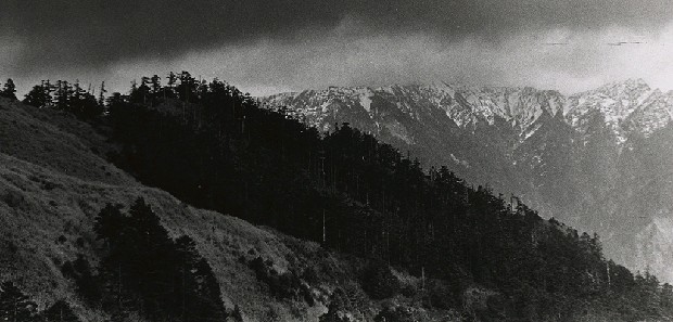 藏品:遙望雪中奇萊的(1)張圖片