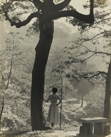 藏品:林間小立萬憲休的(1)張圖片