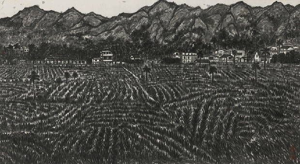 藏品:九九峰.九二一過後的(1)張圖片