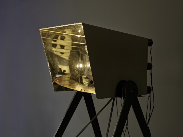 藏品:自我顯像儀的(5)張圖片