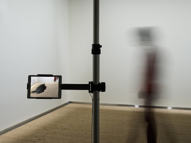 藏品:幻滅no.1的(1)張圖片