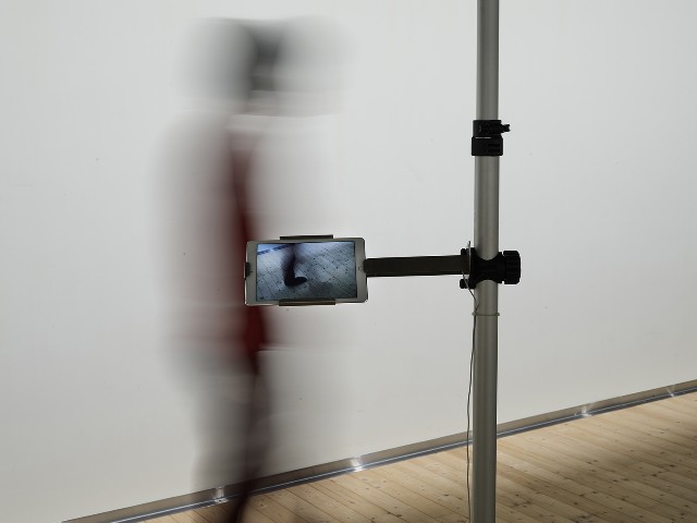 藏品:幻滅no.2的(2)張圖片