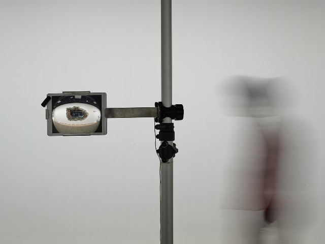 藏品:幻滅no.4的(1)張圖片