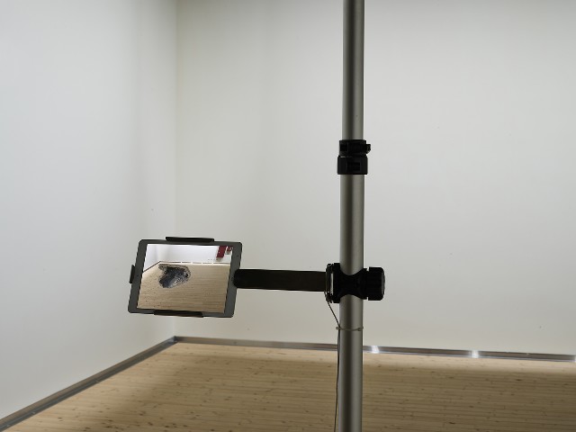 藏品:幻滅no.5的(3)張圖片