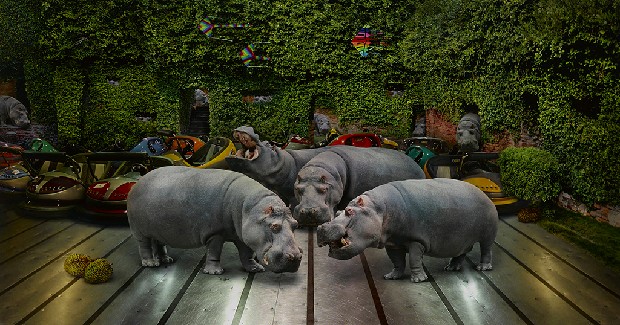 藏品:編碼者 – 自戀舞步與無間莊園的(1)張圖片