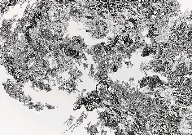 藏品:七十二夢起的(1)張圖片