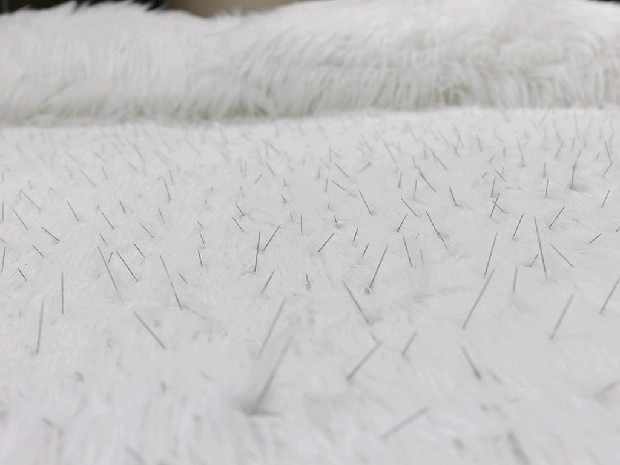 藏品:睡吧!我的愛的(7)張圖片