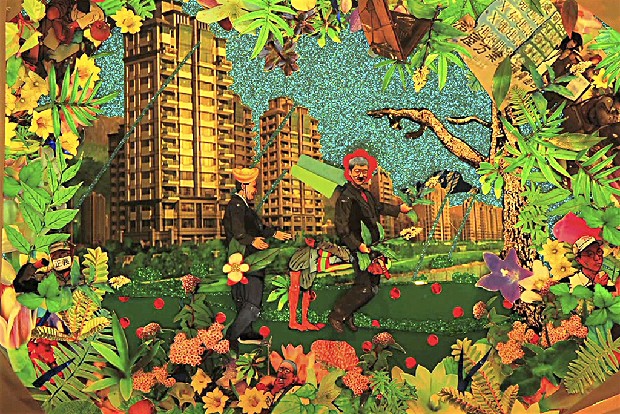 藏品:玉山迷蹤之三的(3)張圖片