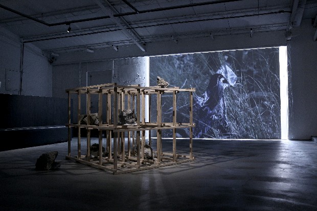 藏品:化形為賦的(1)張圖片