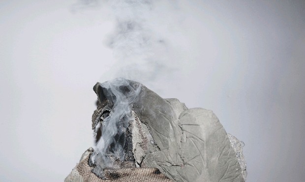 藏品:化形為賦的(2)張圖片