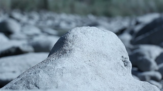 藏品:化形為賦的(3)張圖片