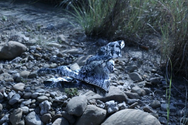 藏品:化形為賦的(4)張圖片