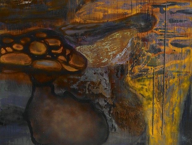 藏品:二分法認同的矛盾的(1)張圖片