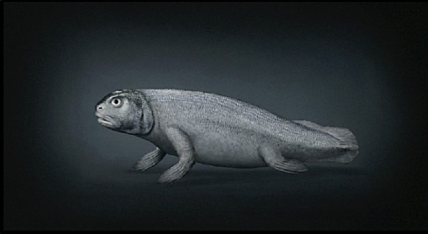 藏品:源 (動態版)的(2)張圖片