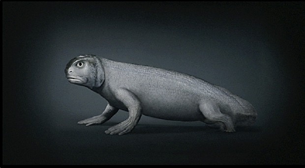 藏品:源 (動態版)的(3)張圖片