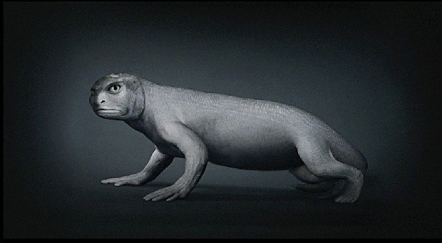 藏品:源 (動態版)的(4)張圖片