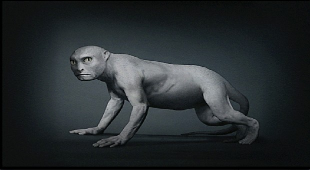 藏品:源 (動態版)的(5)張圖片