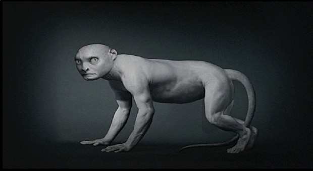 藏品:源 (動態版)的(6)張圖片