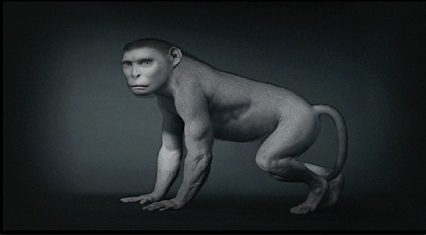 藏品:源 (動態版)的(8)張圖片