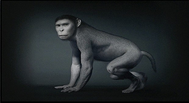 藏品:源 (動態版)的(9)張圖片