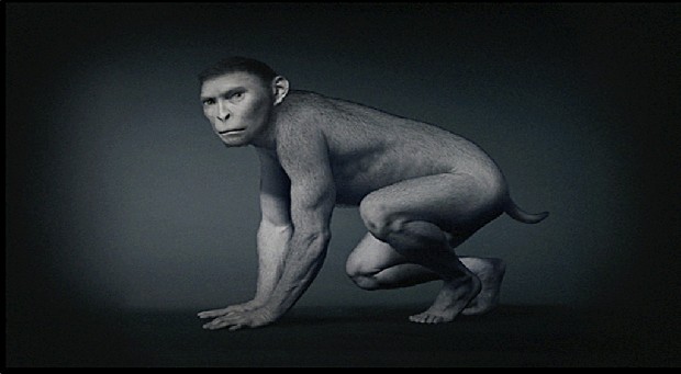 藏品:源 (動態版)的(10)張圖片