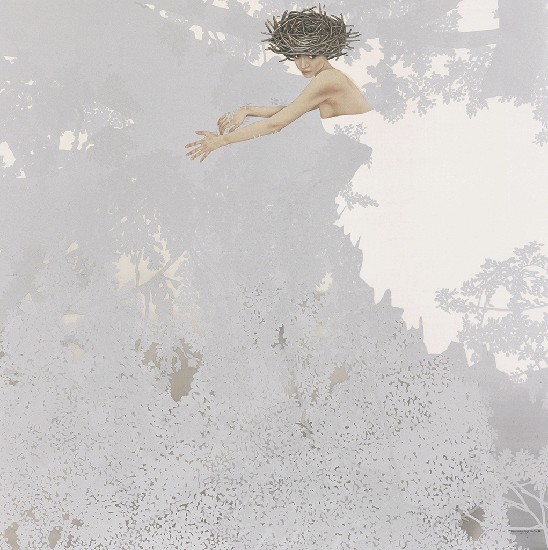 藏品:Tree climbing的(1)張圖片