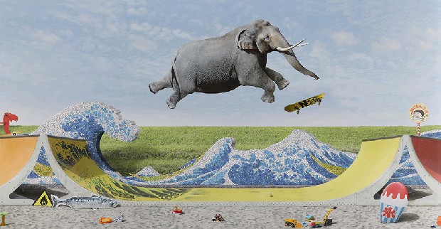 藏品:編碼者－曲線的秘密的(1)張圖片