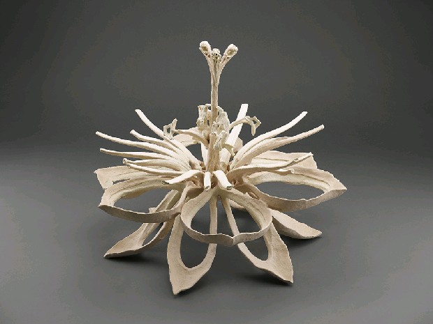 藏品:彼岸花的(1)張圖片