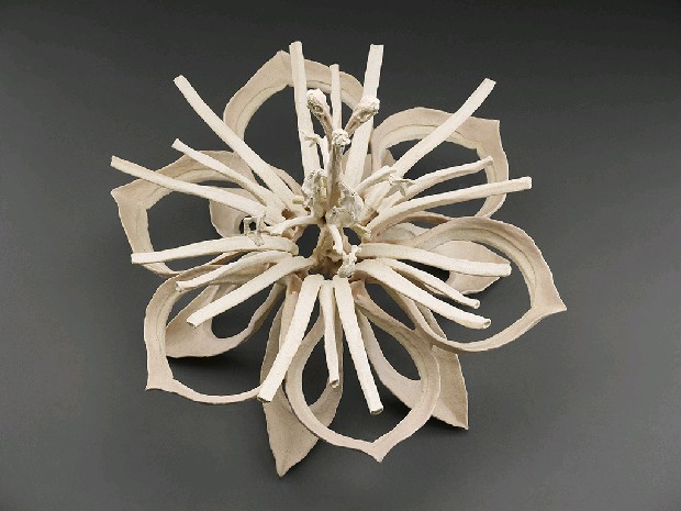 藏品:彼岸花的(2)張圖片