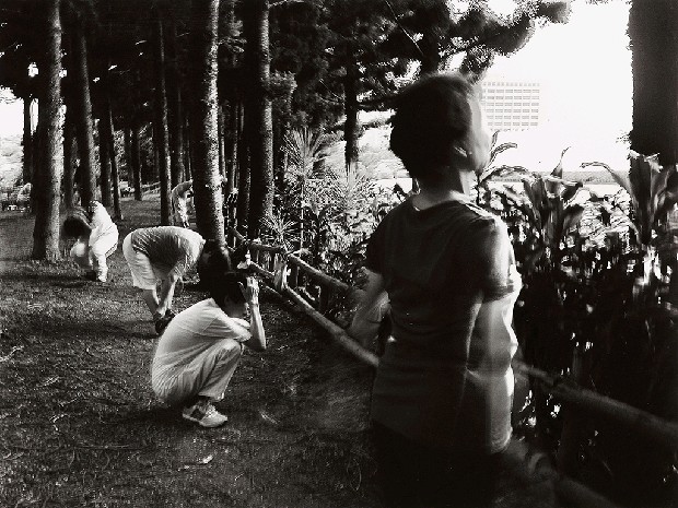 藏品:台灣-核災過後的(1)張圖片