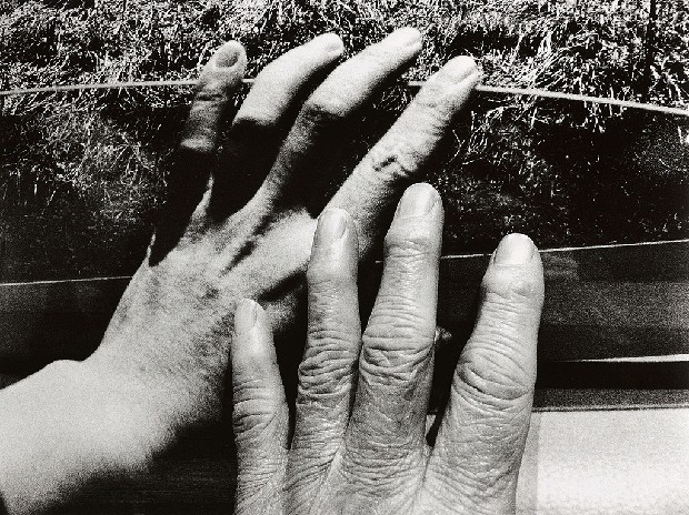 藏品:台灣-核災過後的(5)張圖片