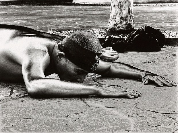 藏品:台灣-核災過後的(6)張圖片