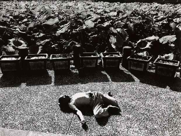 藏品:台灣-核災過後的(8)張圖片