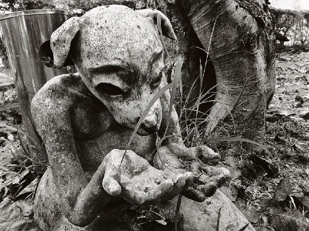 藏品:台灣-核災過後的(9)張圖片