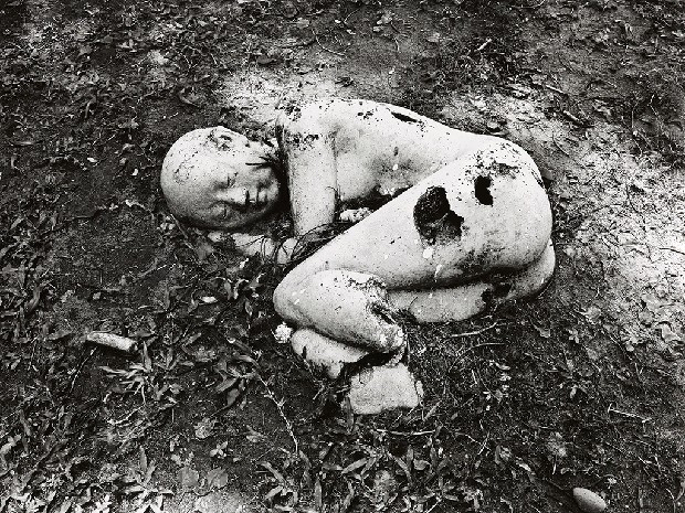 藏品:台灣-核災過後的(10)張圖片